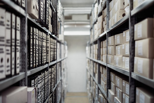 Maximizing Small Business Space: Tips for Affordable Storage and Transport